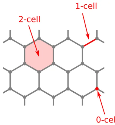 FIG. 1. A defect network in 2D consists of a bulk topological phase, 1D defects, and 0D defect junctions (of course, one can also consider the case where the 1D defects are trivial, in which case a