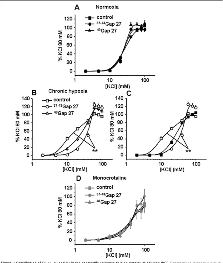 Figure 7 Contribution of Cx 37, 40 and 43 in the contractile response to high potassium solution (KCl)