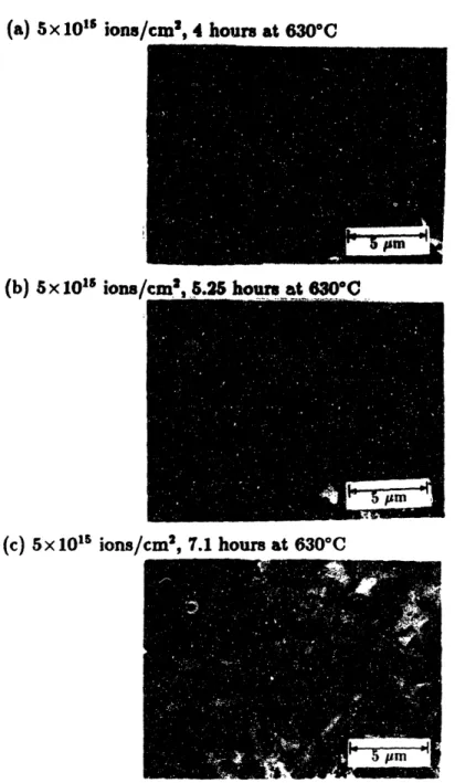 Figure  5.1:  Bright-field  micrographs  of films implanted  at  5 x 101 ' ions'cm and annealed at  630 0 C for three  anneal  times:  (a)  4 hours,  (b) 5.25  hours.