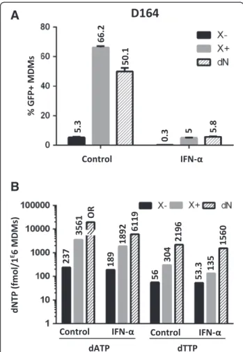 Figure 2 The dNTP concentration in MDMs is not affected by IFN- α doses that inhibit HIV-1 transduction