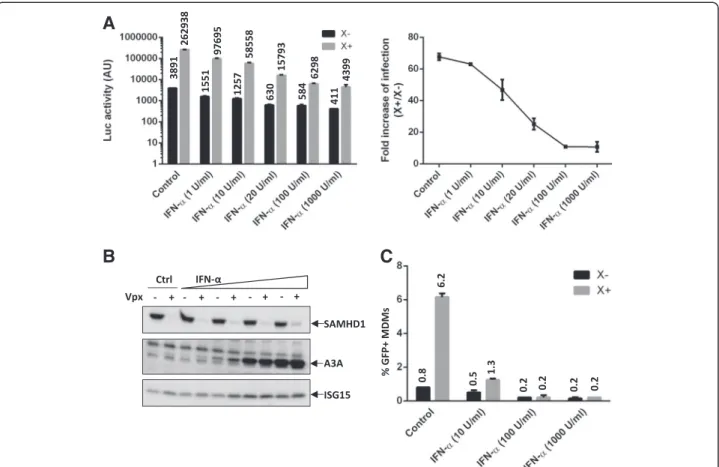 Figure 3 Evidence that SAMHD1 does not contribute to the early IFN- α block to HIV-1 transduction