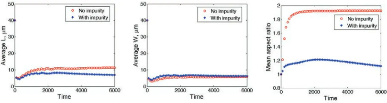 Fig. 4. The average crystal length, width, and aspect ratio from simulations with and without impurity