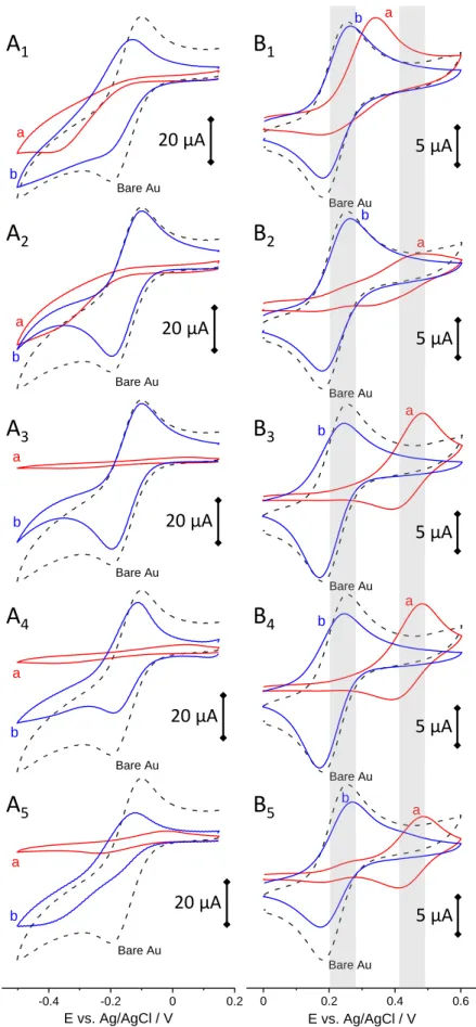 Figure  4.  CV  curves  recorded  in  0.5  mM  Ru(NH 3 ) 6 3+   (+  0.1  M  KCl)  at  100  mV   s -1  (A) or in 0.5 mM Fc(MeOH) 2  (+ 0.1 M NaNO 3 ) at 20 mV s -1  (B), using MPTMS-free Au electrode (A 1 ,  B 1 ) or MPTMS-treated Au electrodes (in 0.1 mM M