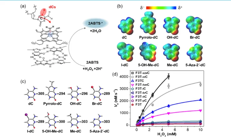 Figure 2 | (a) Peroxidation reaction facilitated by G4-DNAzyme for oxidation of ABTS by H 2 O 2 