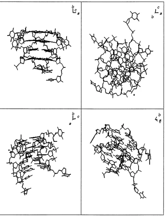 Figure 2.2:  Crystal  structure  of TGGGGT  tetraplex. Four  views  of one of the tetraplexes in the  asymmetric  unit.