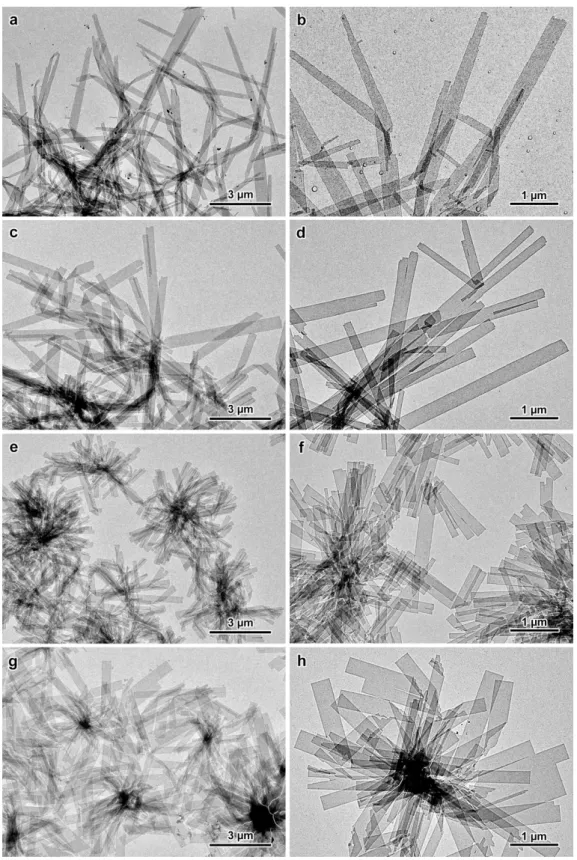 Figure 2. TEM images of lamellar single crystals of V-amylose complexed with racemic IBU: 