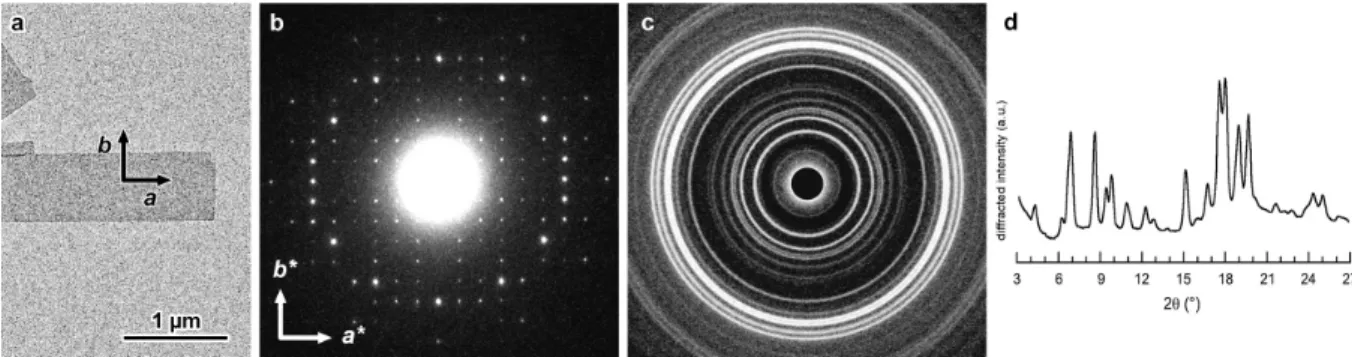 Figure 4. a) TEM image of a lamellar single crystal of DP60 amylose complexed with IBU; 