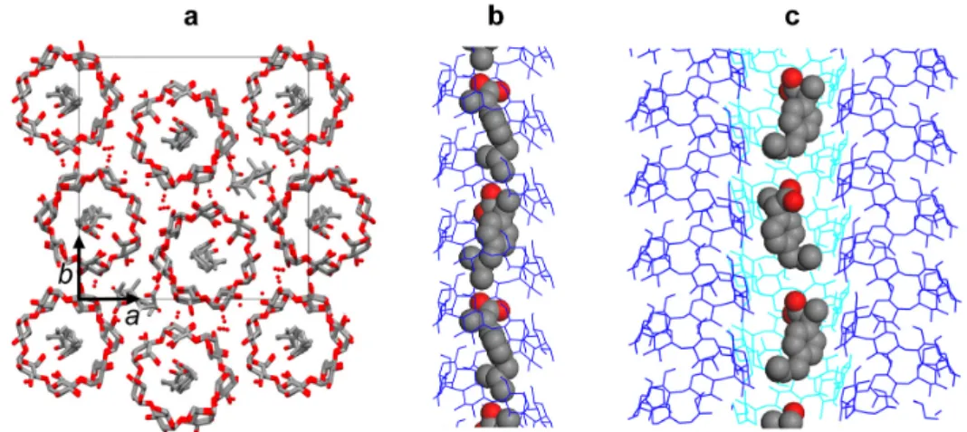 Figure 8. a) Axial view of the tentative molecular model of the V S-IBU  complex. The position  of the 7-fold amylose helices in the unit cell corresponds to that determined for the V propan-2-ol