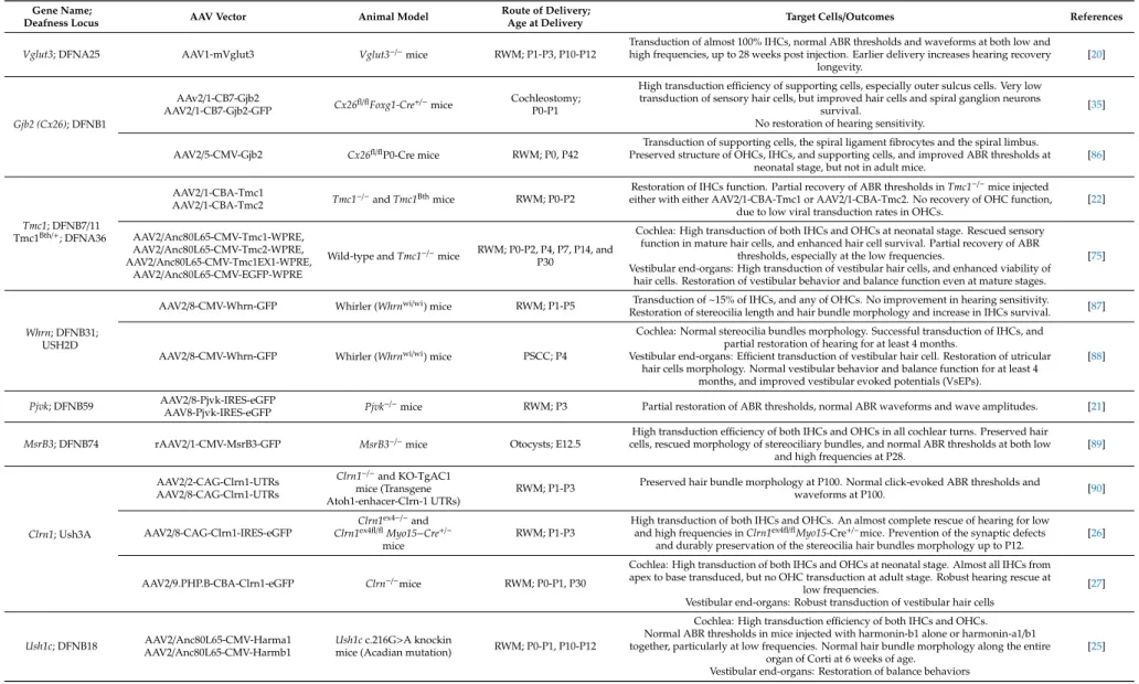 Table 1. A summary of adeno-associated virus (AAV) vectors used in gene therapy for genetic hearing impairments and vestibular dysfunction.