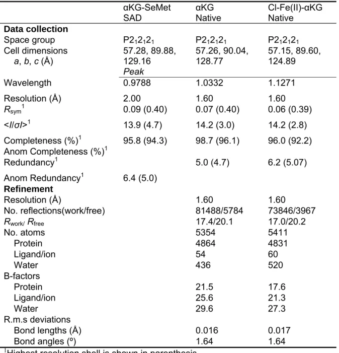 Table III.2 Data collection, phasing and refinement statistics   αKG-SeMet  SAD  αKG  Native  Cl-Fe(II)-αKG Native  Data collection  Space group  P2 1 2 1 2 1  P2 1 2 1 2 1  P2 1 2 1 2 1 Cell dimensions      a, b, c (Å)  57.28, 89.88, 129.16  57.26, 90.04,