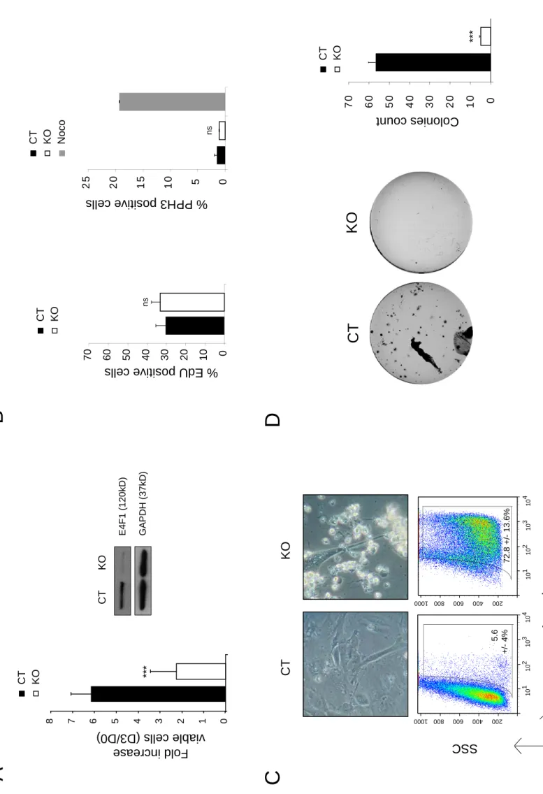 Fig4 Hatchi et al.