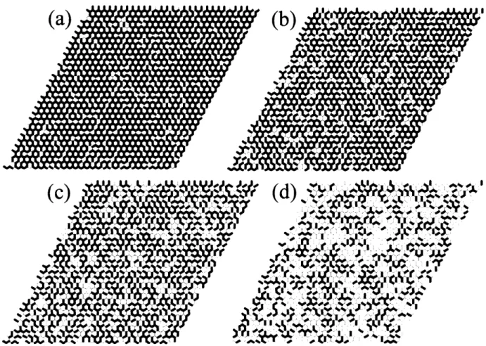 Figure  1.2: Simulated  2-D  microstructures  using a  honeycomb grid  on which  grain  boundaries (the  edges  of  the  hexagons)  are  randomly  assigned  as  special  (thin  lines)  or  general  (thicker lines)  with  probability  p