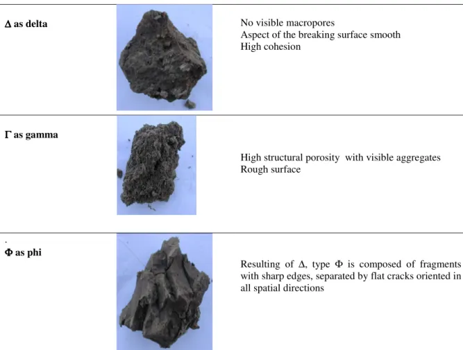 Figure 2b.   Morphological aspect of the type of porosity  Ρ ,  which supplements the three original  types