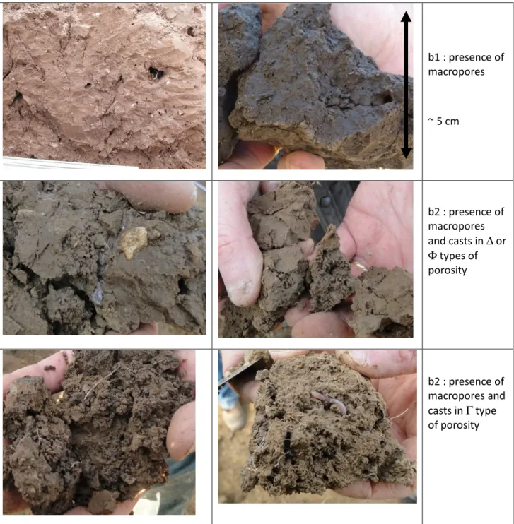 Figure 3. The biological criterion illustrated for both b1 and b2 and for different types of  porosity with the improved method 