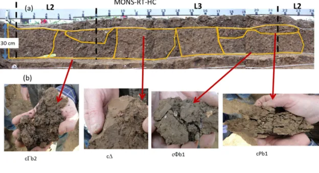 Figure 5.  Cultural profiles observed on a 240 cm-wide profile in Estrées-Mons:  picture of the  profile (4a); zoom on some structural states (4b); drawing using the initial method (4c); drawing  using the modified method (4d)