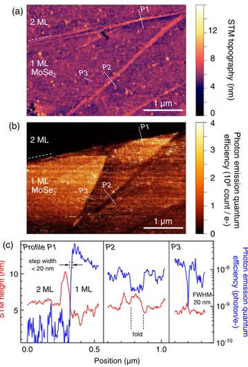 FIG. 3. (a) STM topography of an area featuring bilayer and monolayer MoSe 2 . (b) Photon emission quantum efficiency (i.e., the number of emitted photons per tunneling electron) obtained from the ratio of the STM-LE photon map and STM current simultaneous