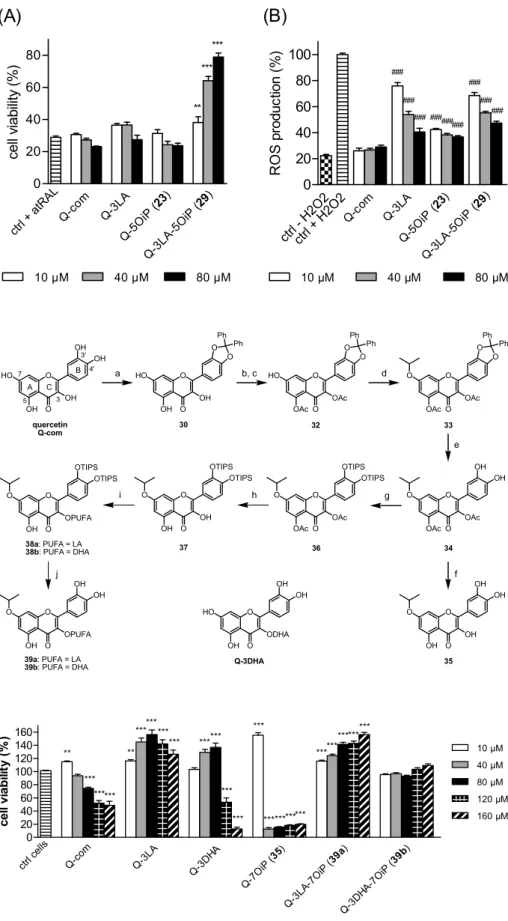 Fig. 10. Evaluation of cytotoxicity of quercetin-7OiP  derivatives;  natural  quercetin  (Q-com),  Q-3LA  [42],  Q-3DHA  [42],  Q-7OiP  (35),  Q-3LA-7OiP  (39a)  and  Q-3DHA-7OiP (39b)