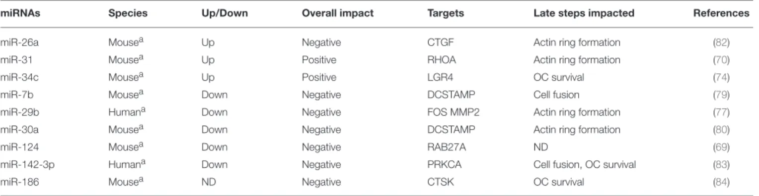 TABLE 2 | MiRNAs involved in the late phase of OC generation.