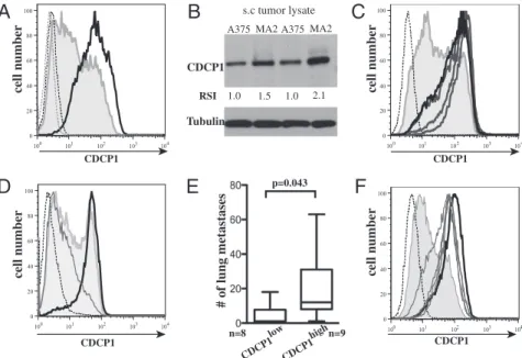 Fig. 1. CDCP1 expression is up-regulated in highly metastatic melanoma cells and correlates with metastatic potential