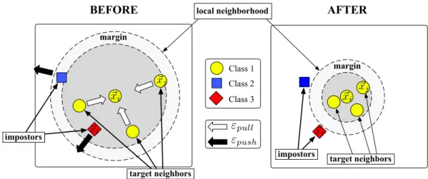 Figure 1: Schematic illustration of one input’s neighborhood before training (left) versus after train- train-ing (right)