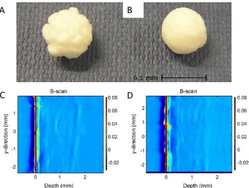 Figure 1.6: Photograph of a drug-filled tablet without additional spheronization of the drug layer (A) and a tablet with spheronization, showing a smoother surface morphology (B).