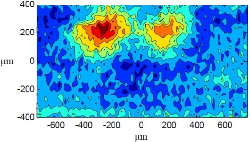 Figure 1.12: Terahertz image of a Drosophila embryo at a late stage of development [31].