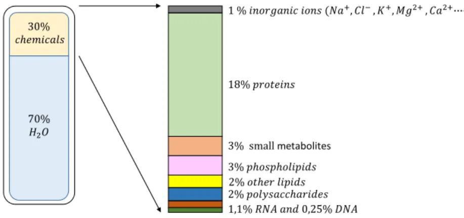 Figure 2.2: Components of a mammalian cell in percentage of cell total weight [130]
