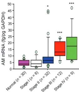 Figure 1. AM mRNA levels in normal and tumor colorectal tissues.