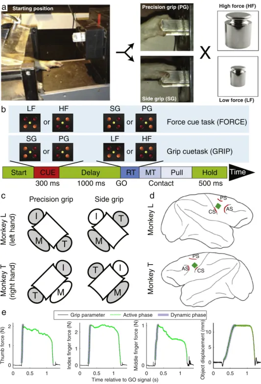 Fig. 1.Task description. A. Two monkeys (L and T) grasped and pulled a rectangular object with two different grasps: precision grip (PG) and side grip (SG)