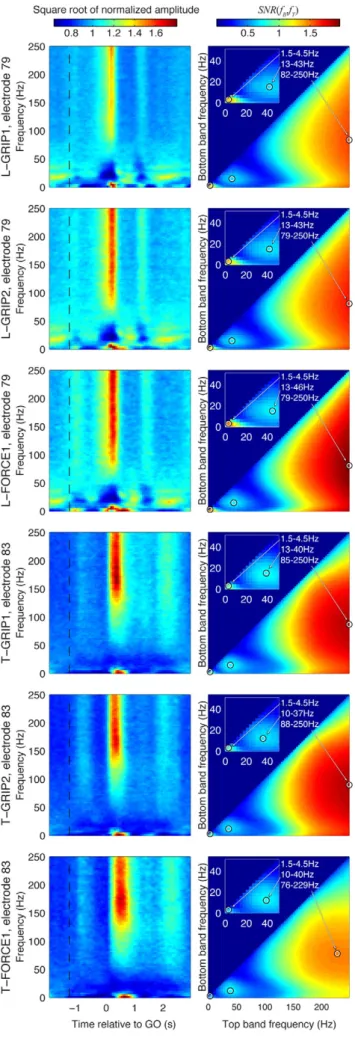 Fig. 3. Spectral analysis of LFP responses for different datasets (one in each row). Left panels show mean spectrograms of the LFP responses recorded on one electrode, averaged over all trials of a dataset aligned to GO