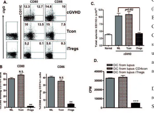 Fig. 22.Adoptive transfer of iTregs to lupus mice suppresses  the  expansion  of  DCs  and  decreases  B7  expression  by  DCs.