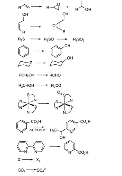 Figure 1. Examples of the reaction types mediated by peroxovanadium (V) complexes. 