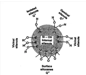 Figure 7. Types of silanol groups and siloxane bridges on the surface of amorphous  silica