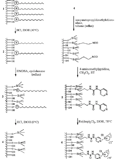 Figure 9. Synthetic routine from as-made silica LUS 1 to ruthenium supported  complex 6 via Molecular Stencil Patterning (MSP) technique