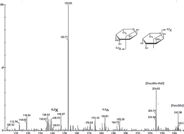 Fig. 1. Negative ESI–MS/MS spectra of the monosulfated fucose ion [FucSO 3 ] − at m/z 243 of F SM .