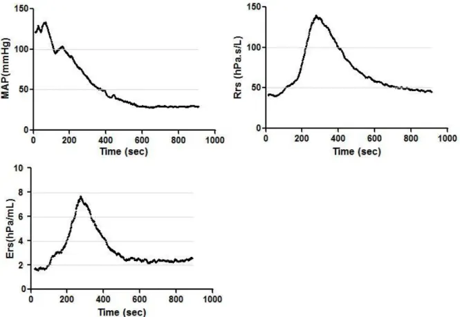 Figure 1. Time course of mean arterial blood pressure (MAP), respiratory resistance (Rrs) and  elastance (Ers) during ovalbumin challenge (at marker)