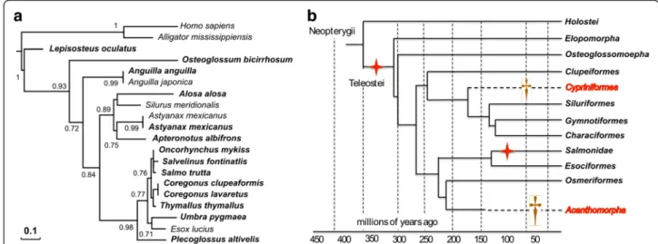 Fig. 2 Stra8 proposed gene evolution in teleosts following the TGD WGD. Maximum-likelihood phylogeny of Stra8 (a) was performed using the PhyML software [38] implemented in the Phylogeny.fr web platform [39] using default “ a la carte ” parameters and a bo