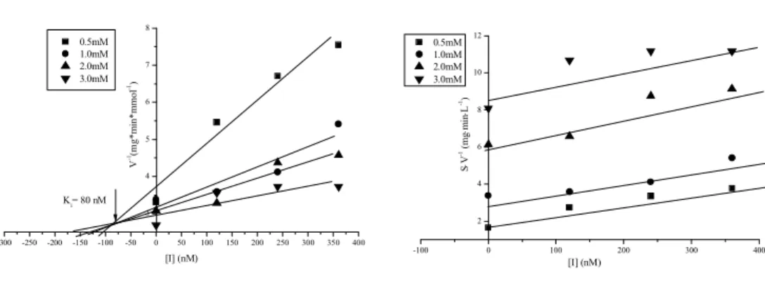 Figure 50. Determination of inhibition constant for CIU and type of inhibition using Kau2-EH