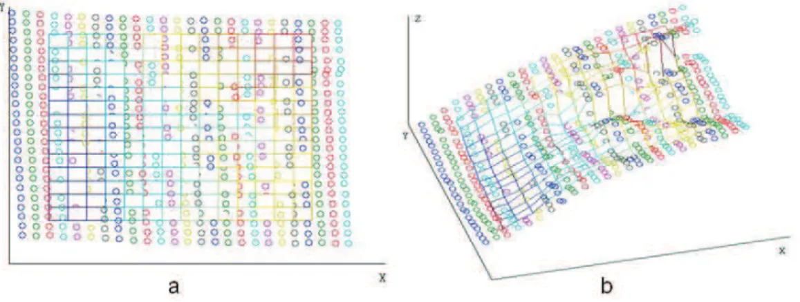 Figure 2.5: Creation of uniform grid in a local region associated with the left corner of the left eye from two viewpoints (a) and (b)