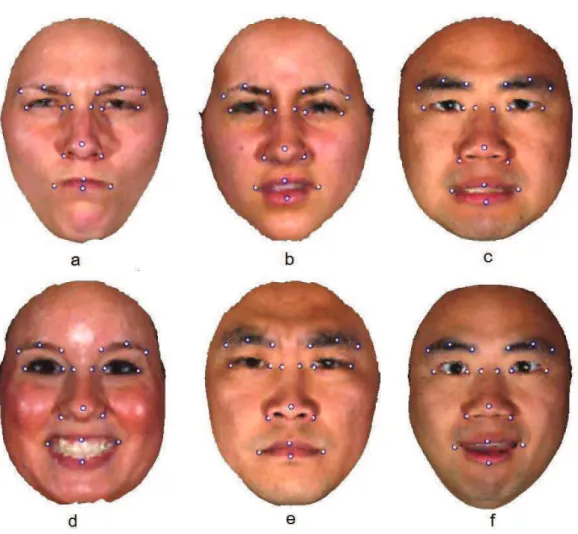 Figure 2.20: Landmarking examples from the BU-3DFE dataset with expressions of anger (a), disgust (b), fear (c), joy (d), sadness (e) and surprise (f).