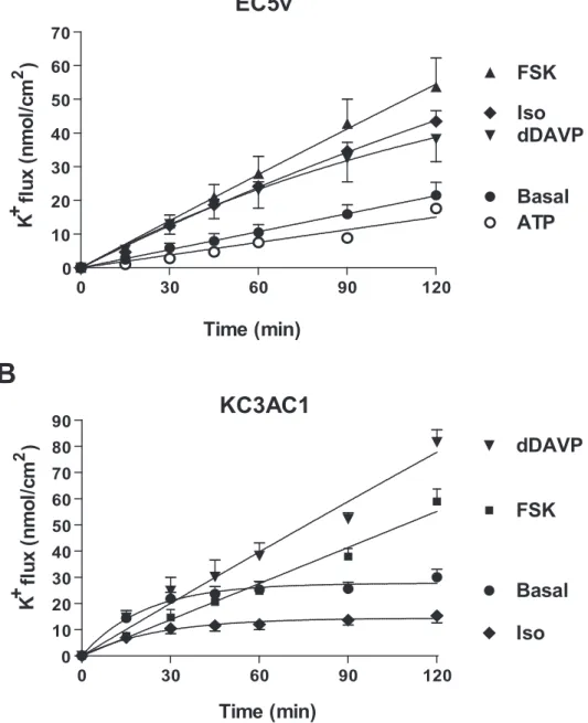 Figure 3  KC3AC1  Basal FSK  dDAVP Iso Time (min) K+   flux (nmol/cm2) Basal FSK  dDAVP Iso ATP EC5v Time (min) K+   flux (nmol/cm2) B A 0 30 60 90 120 0 10 20 30 40 50 60 70 0 30 60 90 120 0 10 20 30 40 50 60 70 80 90 