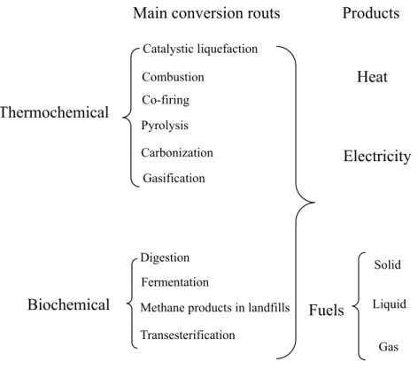 Fig. 0.1. Major conversion technologies for converting biomass into useful energy carriers