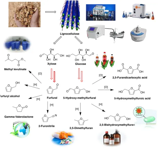 Fig.  0.10.  Synthesis  and  application  of  two  platform  molecules:  Furfural  and  5- 5-Hydroxymethylfurfural
