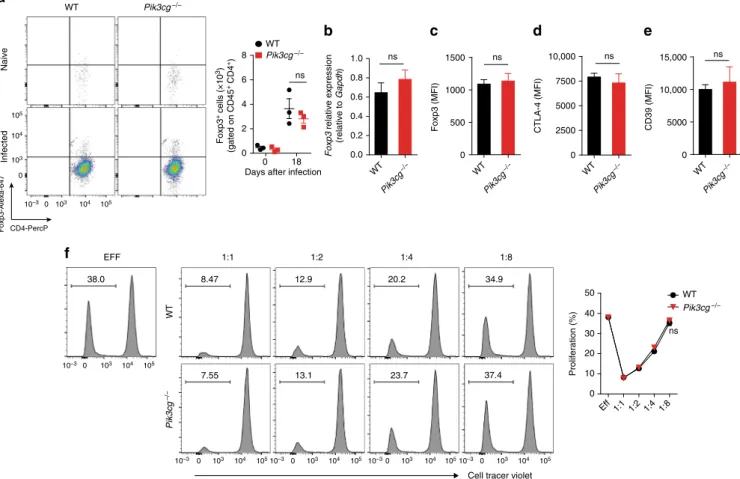 Fig. 5 The absence of PI3K γ does not affect the number and suppressive function of regulatory T-cells in the heart tissue of infected mice