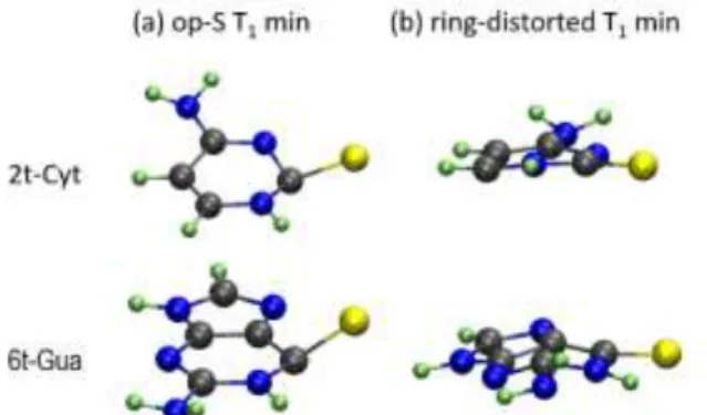 Figure 9  General double-well topography of T 1  state as an on/off switch for singlet  oxygen yield in thionucleobases.