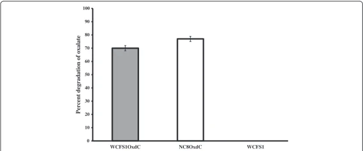 Figure 2 Percentage of in vitro oxalate degradation by recombinant and wild type L. plantarum