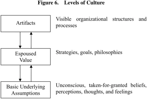 Figure 6.    Levels of Culture 