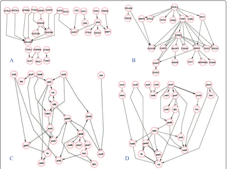 Figure 7 Inference of of biologically relevant networks. Gene regulatory networks obtained from the glioblastoma (panels A, B) and E