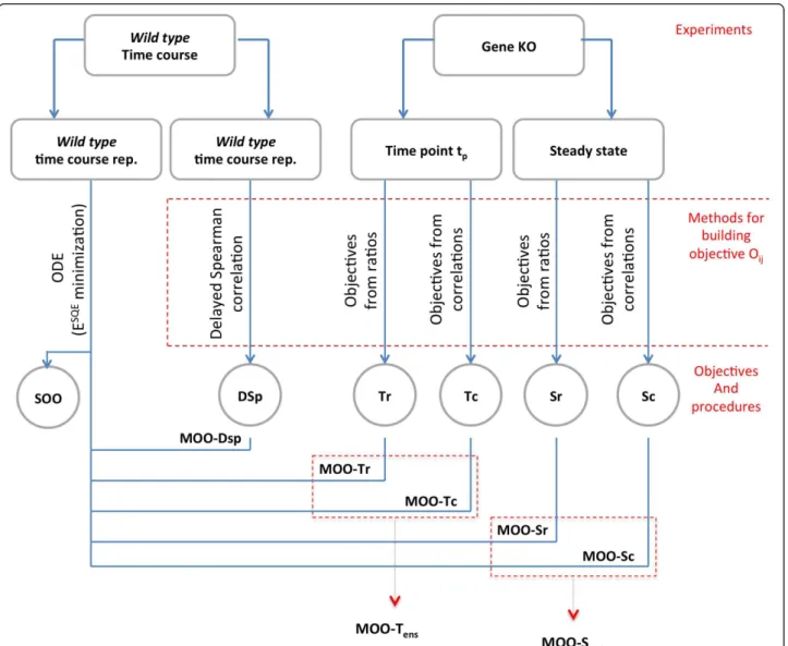 Figure 1 shows in a schematic format the different pro- pro-cedures that are part of the NIMOO framework and their relationships with the experimental datasets.