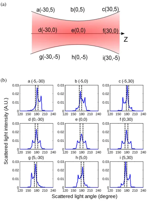 Fig. 2.20. Scattering simulations in different particle Z-Y coordinates. (a) Sample central position  arrangement with the Z-Y coordinates in µm